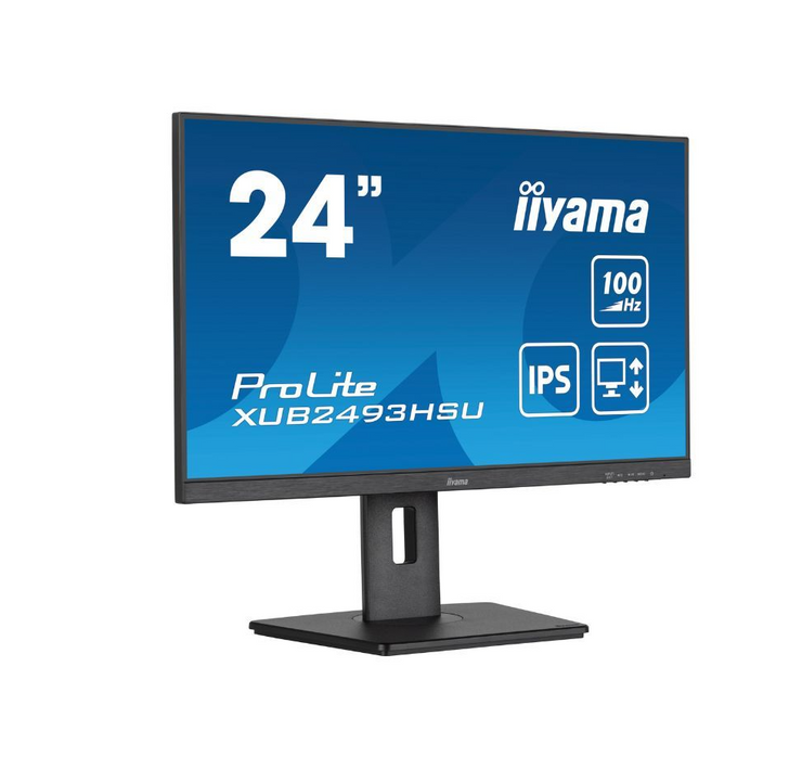 Ecran Prolite 24 pouces avec dale IPS et pied réglable