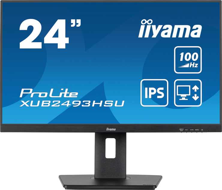24-inch Prolite screen with IPS panel and adjustable stand